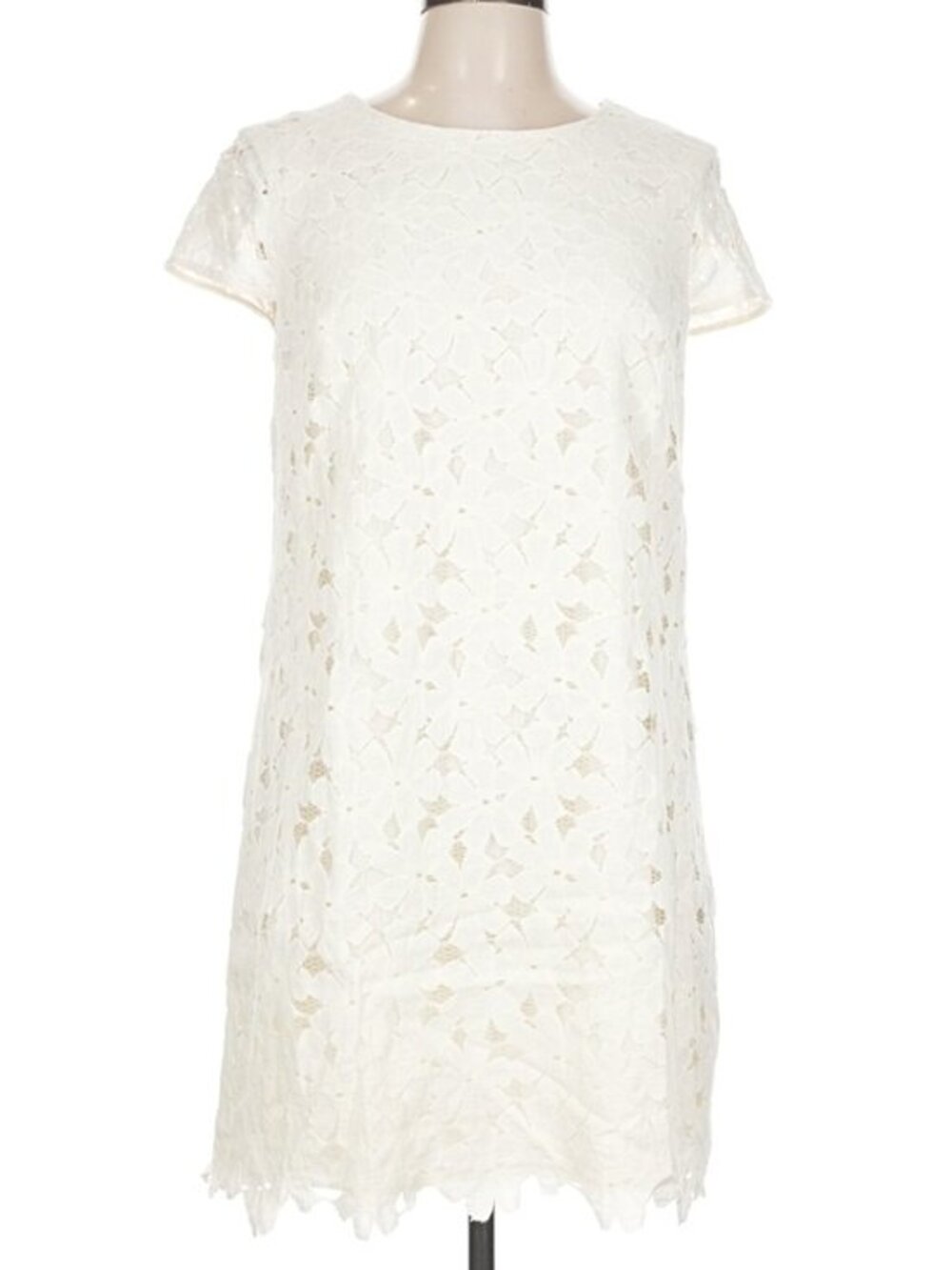 Cynthia Steffe White Lace Shift Dress – Size 12